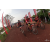 Team 118 / Raid Amazones Cambodge 2018 - J3 VTT