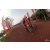 Team 41 / Raid Amazones Cambodge 2018 - J3 VTT