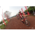Team 103 / Raid Amazones Cambodge 2018 - J3 VTT