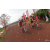Team 38 / Raid Amazones Cambodge 2018 - J3 VTT