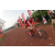 Team 33 / Raid Amazones Cambodge 2018 - J3 VTT
