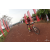 Team 110 / Raid Amazones Cambodge 2018 - J3 VTT