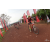 Team 110 / Raid Amazones Cambodge 2018 - J3 VTT