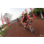 Team 110 / Raid Amazones Cambodge 2018 - J3 VTT