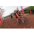 Team 20 / Raid Amazones Cambodge 2018 - J3 VTT