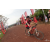 Team 47 / Raid Amazones Cambodge 2018 - J3 VTT