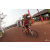 Team 120 / Raid Amazones Cambodge 2018 - J3 VTT