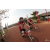 Team 40 / Raid Amazones Cambodge 2018 - J3 VTT
