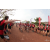 Raid Amazones Cambodge 2018 - J3 VTT