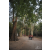 Raid Amazones Cambodge 2018 - J4 Chasse aux Tresors