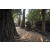 Raid Amazones Cambodge 2018 - J4 Chasse aux Tresors