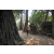 Raid Amazones Cambodge 2018 - J4 Chasse aux Tresors