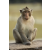 Raid Amazones Cambodge 2018 - J4 Chasse aux Tresors