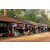 Raid Amazones Cambodge 2018 - J4 Chasse aux Tresors