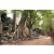 Raid Amazones Cambodge 2018 - J4 Chasse aux Tresors