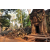 Raid Amazones Cambodge 2018 - J4 Chasse aux Tresors