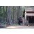 Raid Amazones Cambodge 2018 - J4 Chasse aux Tresors