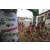 Team 108 / Raid Amazones Cambodge 2018 - J5 VTT