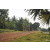 Team 107 / Raid Amazones Cambodge 2018 - J5 VTT