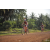 Team 107 / Raid Amazones Cambodge 2018 - J5 VTT