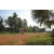 Team 08 / Raid Amazones Cambodge 2018 - J5 VTT