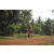 Team 08 / Raid Amazones Cambodge 2018 - J5 VTT
