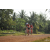 Team 33 / Raid Amazones Cambodge 2018 - J5 VTT