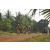 Team 128 / Raid Amazones Cambodge 2018 - J5 VTT