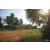 Team 128 / Raid Amazones Cambodge 2018 - J5 VTT