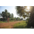 Team 108 / Raid Amazones Cambodge 2018 - J5 VTT