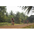 Team 160 / Raid Amazones Cambodge 2018 - J5 VTT