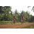 Team 135 / Raid Amazones Cambodge 2018 - J5 VTT