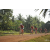 Team 37 / Raid Amazones Cambodge 2018 - J5 VTT