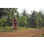 Team 123 / Raid Amazones Cambodge 2018 - J5 VTT