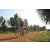 Team 12 / Raid Amazones Cambodge 2018 - J5 VTT