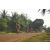 Team 121 / Raid Amazones Cambodge 2018 - J5 VTT