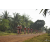 Team 149 / Raid Amazones Cambodge 2018 - J5 VTT