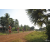 Team 149 / Raid Amazones Cambodge 2018 - J5 VTT