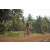 Team 48 / Raid Amazones Cambodge 2018 - J5 VTT