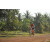 Team 48 / Raid Amazones Cambodge 2018 - J5 VTT