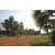Team 113 / Raid Amazones Cambodge 2018 - J5 VTT