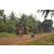 Team 103 / Raid Amazones Cambodge 2018 - J5 VTT