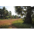 Team 17 / Raid Amazones Cambodge 2018 - J5 VTT