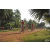 Team 106 / Raid Amazones Cambodge 2018 - J5 VTT