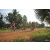 Team 119 / Raid Amazones Cambodge 2018 - J5 VTT