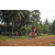 Team 25 / Raid Amazones Cambodge 2018 - J5 VTT