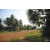 Team 25 / Raid Amazones Cambodge 2018 - J5 VTT