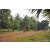 Team 122 / Raid Amazones Cambodge 2018 - J5 VTT