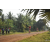 Team 16 / Raid Amazones Cambodge 2018 - J5 VTT