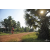 Team 16 / Raid Amazones Cambodge 2018 - J5 VTT